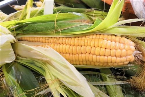 科技.jpg 科技.jpg