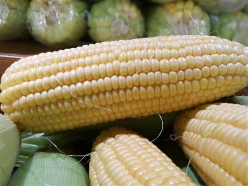 图片2.jpg 图片2.jpg