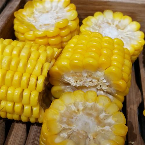 图片3.jpg 图片3.jpg