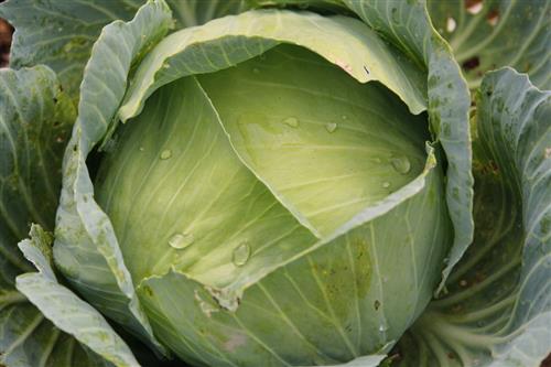 图片4.jpg 图片4.jpg